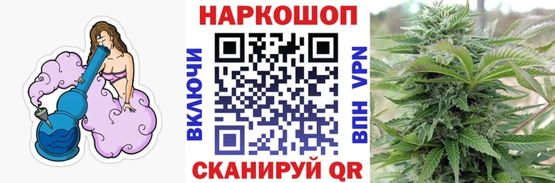 A PVP Новосиль