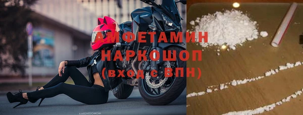 стафф Гусев
