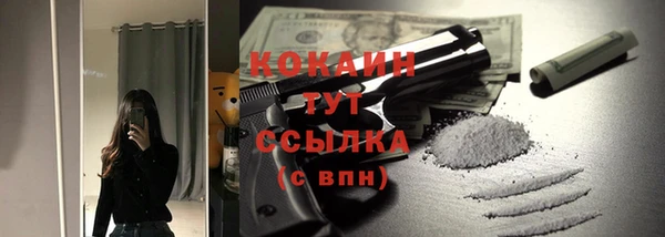 стафф Гусев