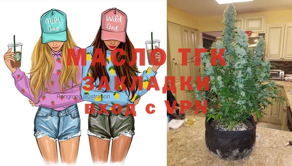 стафф Гусев