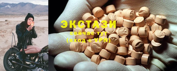 стафф Гусев