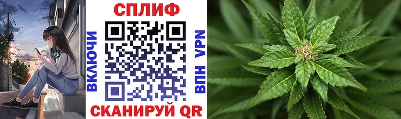 Бошки Шишки тримм Новосиль